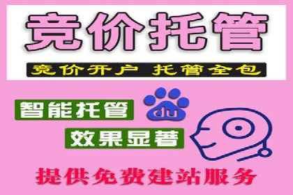 从新手到高手：SEM竞价员成长之路
